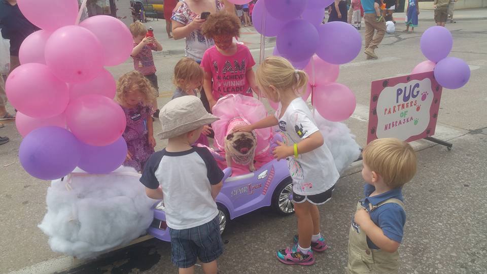 Millard Days Parade Pug Partners of Nebraska